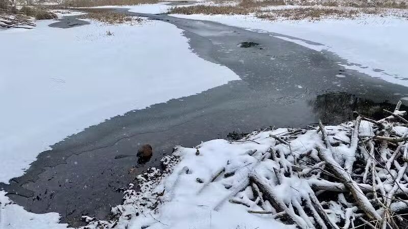 Addison Township Watershed Preserve - Leonard, MI