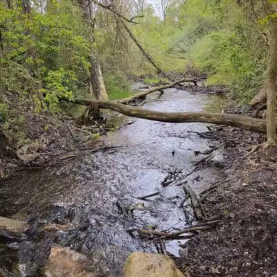 Addison Township Watershed Preserve - Leonard, MI