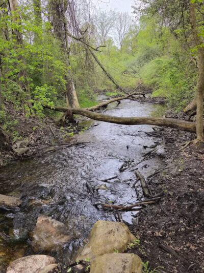 Addison Township Watershed Preserve - Leonard, MI