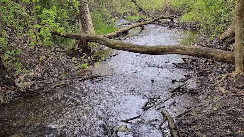 Addison Township Watershed Preserve - Leonard, MI