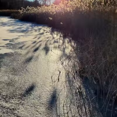 Addison Township Watershed Preserve - Leonard, MI