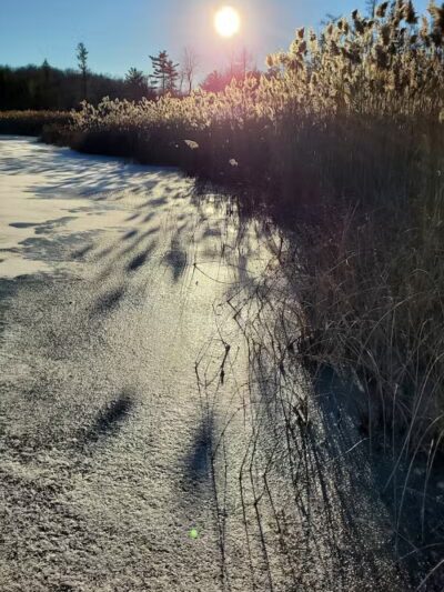 Addison Township Watershed Preserve - Leonard, MI