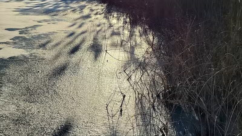 Addison Township Watershed Preserve - Leonard, MI