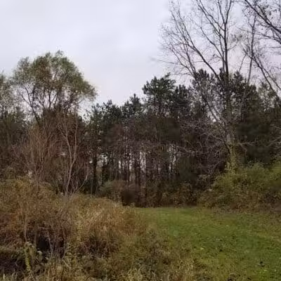 Addison Township Watershed Preserve - Leonard, MI