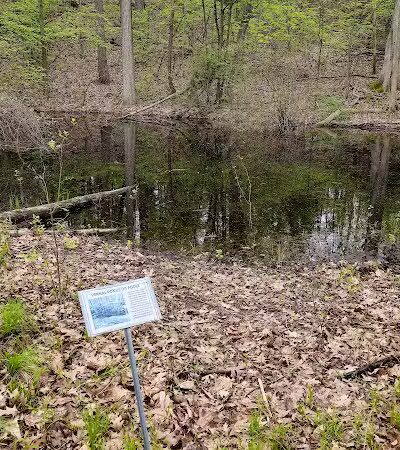Addison Township Watershed Preserve - Leonard, MI