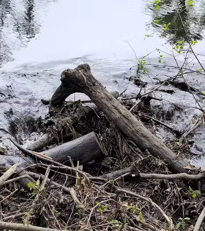 Addison Township Watershed Preserve - Leonard, MI