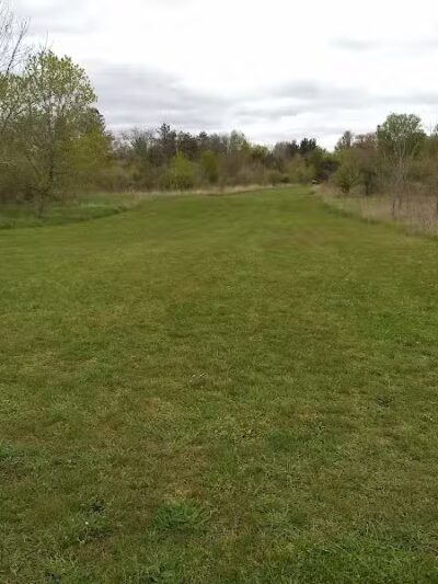Feek County Park - Leonidas,