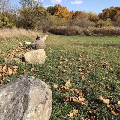 Feek County Park - Leonidas,