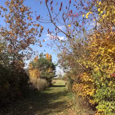 Feek County Park - Leonidas,