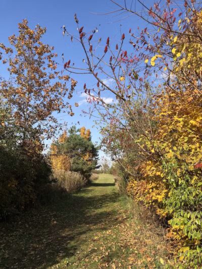 Feek County Park - Leonidas,
