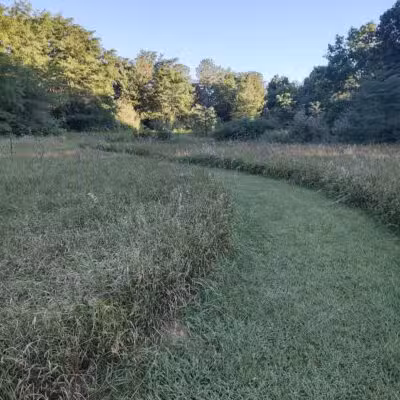 Feek County Park - Leonidas,