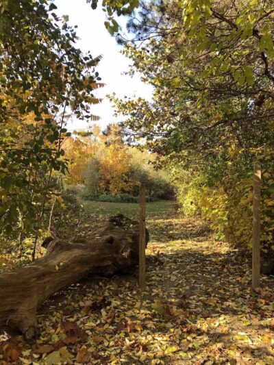 Feek County Park - Leonidas,