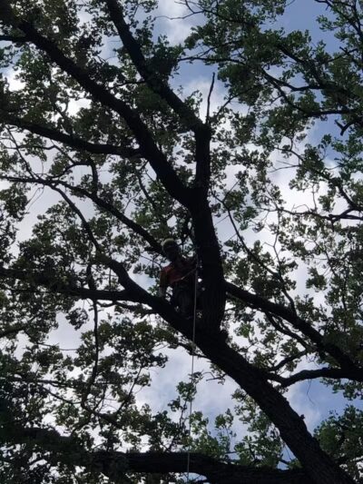 Russell Park - Leslie,