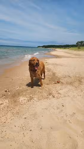 Township Park - Levering, MI