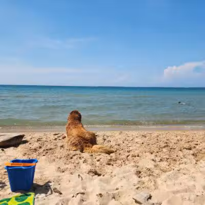 Township Park - Levering, MI