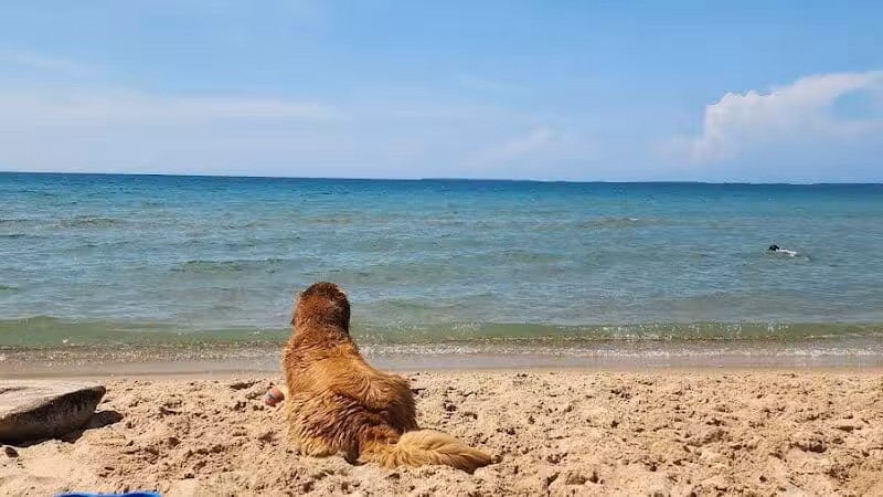Township Park - Levering, MI