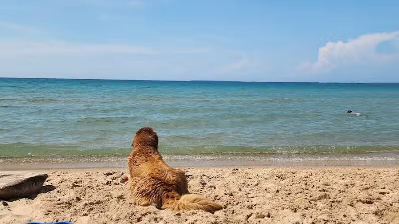 Township Park - Levering, MI