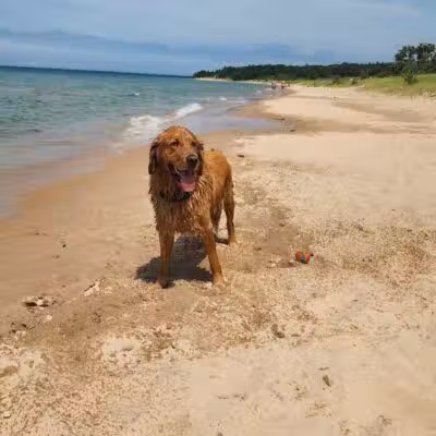 Township Park - Levering, MI