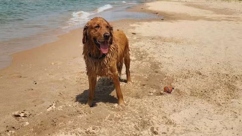 Township Park - Levering, MI