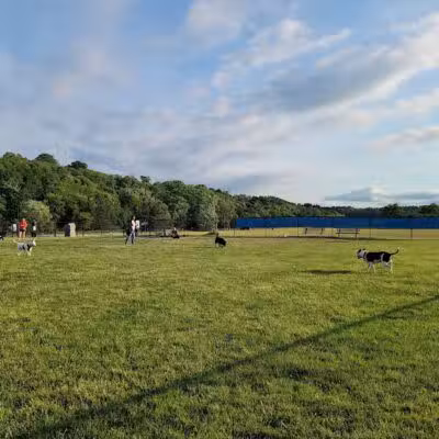 Lewiston Dog Park - Lewiston, MI