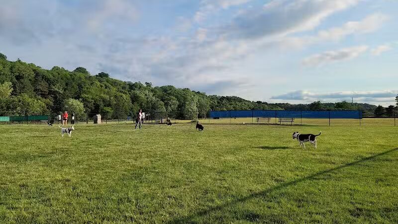 Lewiston Dog Park - Lewiston, MI