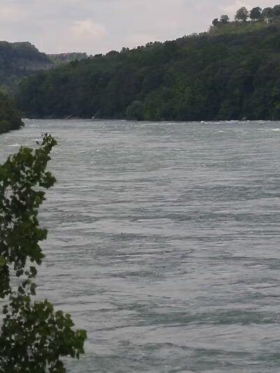 Lewiston Dog Park - Lewiston, MI