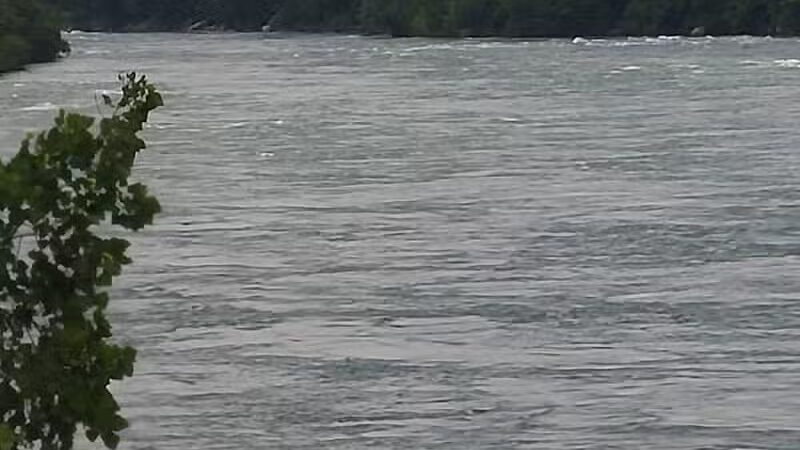 Lewiston Dog Park - Lewiston, MI