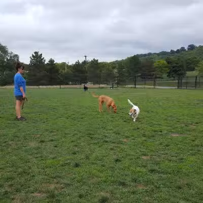 Lewiston Dog Park - Lewiston, MI