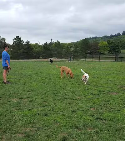 Lewiston Dog Park - Lewiston, MI