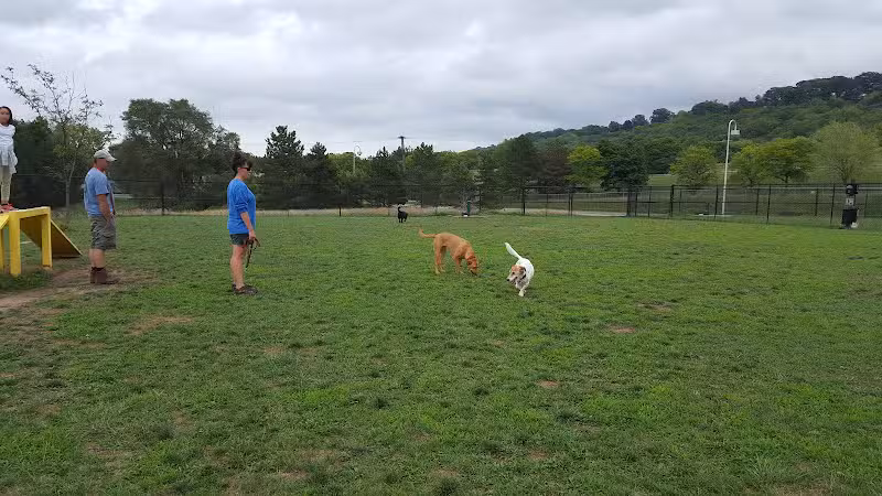 Lewiston Dog Park - Lewiston, MI