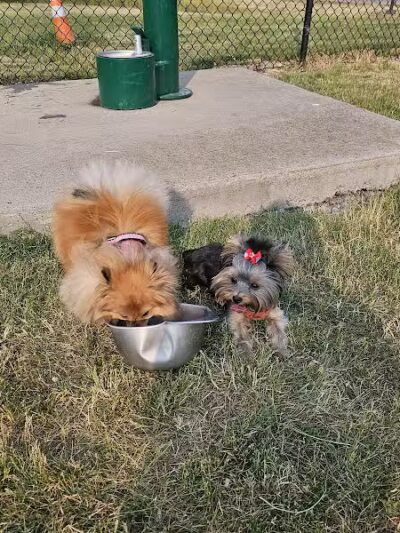 Lewiston Dog Park - Lewiston, MI