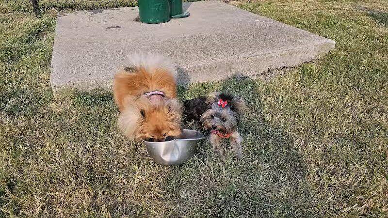 Lewiston Dog Park - Lewiston, MI