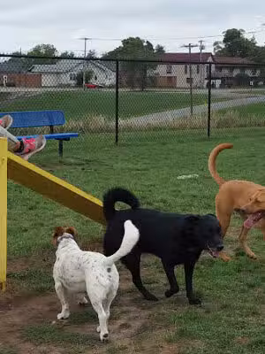 Lewiston Dog Park - Lewiston, MI