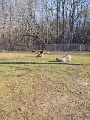 Robin's Garden & Dog Park - Lewiston, MI