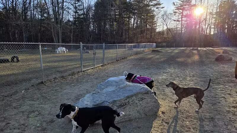 Robin's Garden & Dog Park - Lewiston, MI