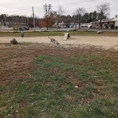 Robin's Garden & Dog Park - Lewiston, MI