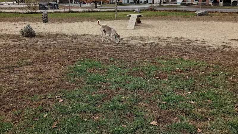 Robin's Garden & Dog Park - Lewiston, MI