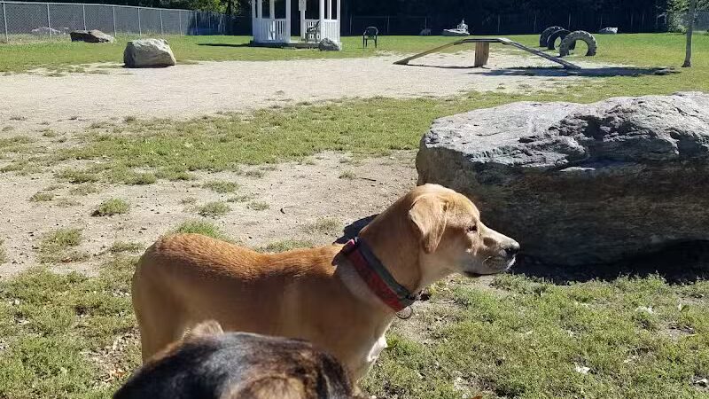 Robin's Garden & Dog Park - Lewiston, MI