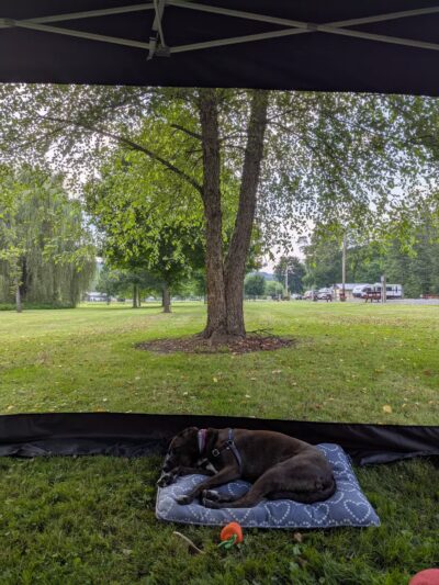 Kish Park - Lewistown, PA