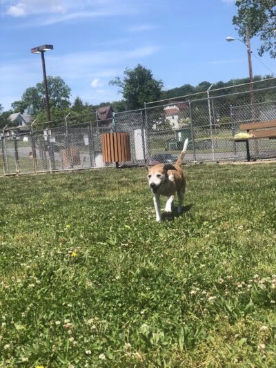 Kish Park - Lewistown, PA