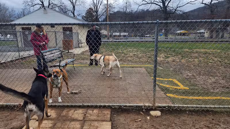 Dog park - Lewistown, PA