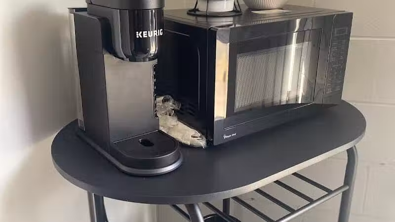 Lexington's LillyPad - Lexington, MI