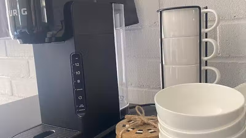 Lexington's LillyPad - Lexington, MI