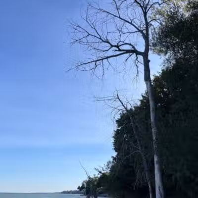 Sanilac County Lexington Park - Lexington, MI