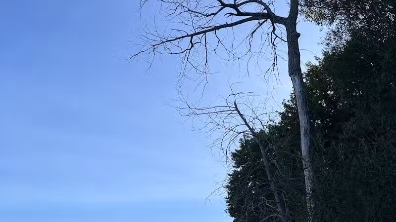 Sanilac County Lexington Park - Lexington, MI