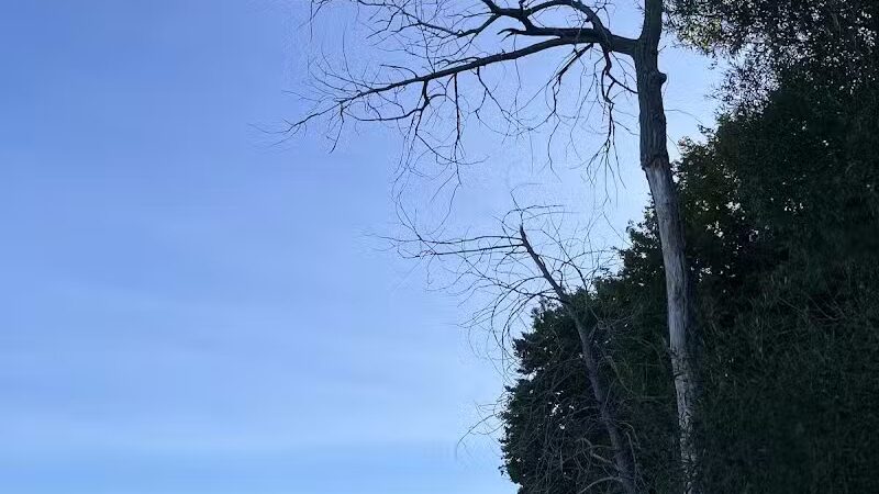 Sanilac County Lexington Park - Lexington, MI