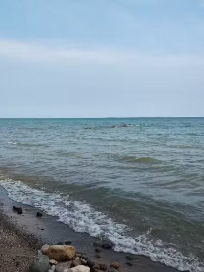 Sanilac County Lexington Park Campground - Lexington,