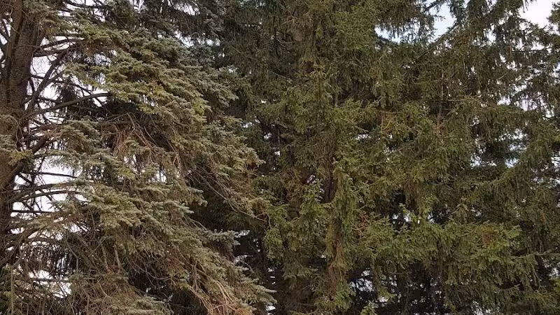 Sanilac County Lexington Park Campground - Lexington,