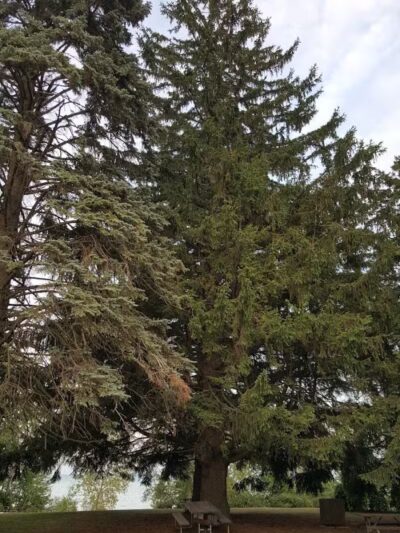 Sanilac County Lexington Park Campground - Lexington,