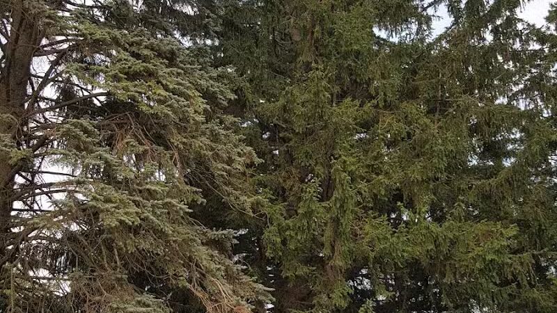Sanilac County Lexington Park Campground - Lexington,